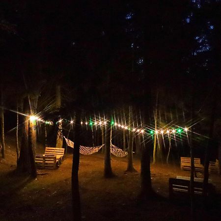 Hotel Evergreen Borjomi Eksteriør billede