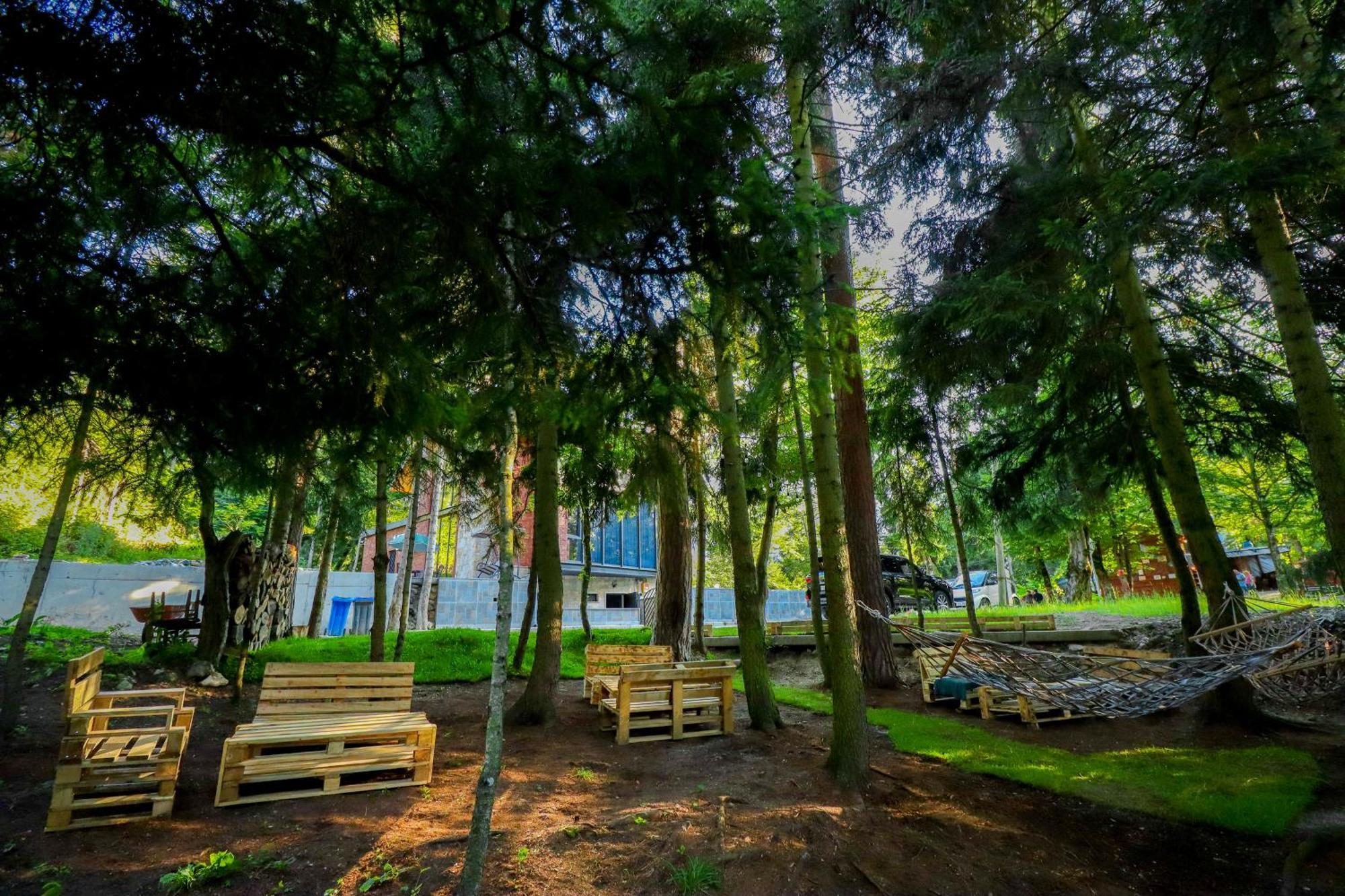 Hotel Evergreen Borjomi Eksteriør billede