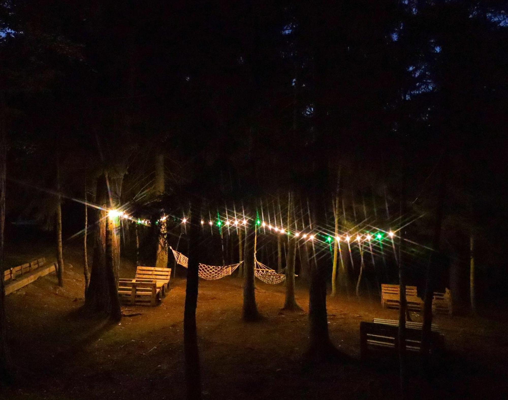 Hotel Evergreen Borjomi Eksteriør billede